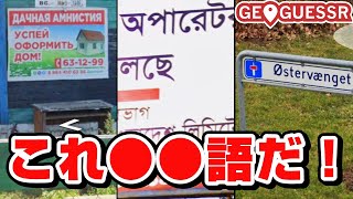 【GeoGuessr】語学力でゴリ押しする国当てクイズ