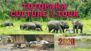 TOTOPARA CULTURE|TOUR|2020|SILIGURI TO TOTOPARA|MUST WATCH📽🤷‍♂