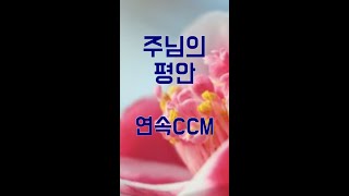 [ CCM찬양, 기독교음악, 크리스챤뮤직 ] 241101_주님의 평안 외