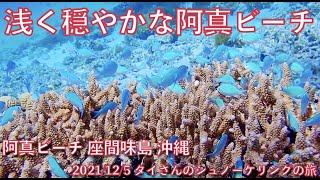 【#51 タイさんのシュノーケリングの旅 】浅く穏やかな阿真ビーチ 座間味島, 慶良間諸島, 沖縄, Tai's Journey