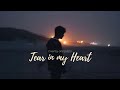 vietsub tear in my heart twenty one pilots nhạc hot tiktok lyrics video