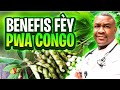 Fèy Pwa Congo: Men Mirak Lap Fè Pou Ou.