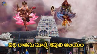 విధి రాతను మార్చే శివుని ఆలయం | Brahmapureeswarar Temple ,Tirupattur,Trichy,Tamilnadu | Eyecon facts