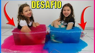 DESAFIO DO GELLI BAFF COM PRÊMIOS  | Hoje é dia de Marias