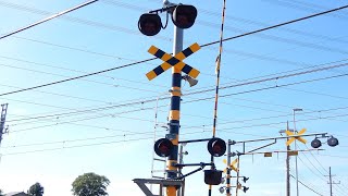 【踏切】東武伊勢崎線　警報灯が変な配置の踏切 (Railroad crossing in Japan)