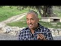 stopping a dog fight cesar 911