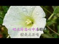 唱 sing 袁黃艷馨 周宣國珍 劉懿華 鄭澤輝 超高清 卡拉ok cantonese christian gospel song faisoft.com