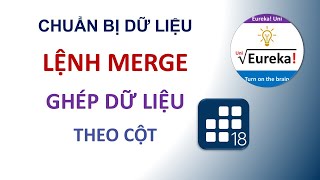 STATA - merge - Ghép ngang (thêm cột) dữ liệu bằng lệnh merge trong STATA