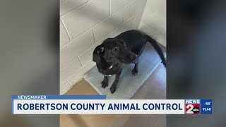 Newsmaker: Robertson County Animal Control