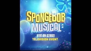 (Not a) Simple Sponge - The Sponge Musical : LIVE on Stage!