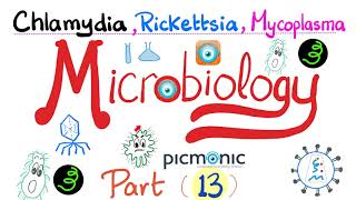 Microbiology - Picmonic - Chlamydia, Rickettsia, and Mycoplasma (Atypical bacteria) - Part 13