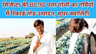 #cabbageroll  #farming फूल गोभी और पत्ता गोभी की इन दो बैरायटी को किसी भी सीजन में लगा सकते हैं ..