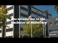 An introduction to the Bachelor of Midwifery