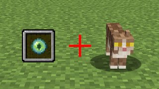 will I be able to see in the dark?