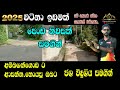 පසු විපරුම. කීපයක් පමණයි house fro sale gamarala homes land for sale