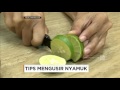 Tips Mengusir Nyamuk - Good Morning