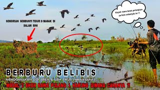 Wow.. ❗ Dapat banyak Berburu belibis menggunakan lidi aren yang di oleskan lem tikus (teknik pulut).