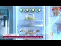 InstaView Door-in-Door™ with HygieneFresh Balancer | LG South Africa