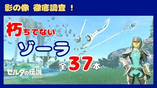 【ティアキン】朽ちてない『ゾーラシリーズ 収集ガイド』 全３７本 《影の像 徹底調査！》