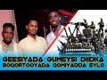 Hees cusub ee loo qaaday boqortooyada eylo ¡¡ #eylo #youtube #fanaan #kgs somali #shiniyey shiniyey