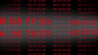 Hexadecimal Code - Data flow - red