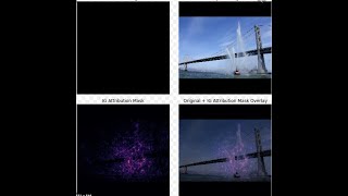 Integrated Gradients | SAiDL | Reading Sessions