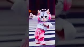 #cat #catlover #animals #funny #cut dance#bacho k video