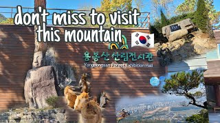 Yongbongsan mountain walk tour 🇰🇷 | you won't believe this amazing mountain