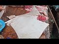 Amazing stingray fish cutting in 🇱🇰 The Fillet Artist is live!