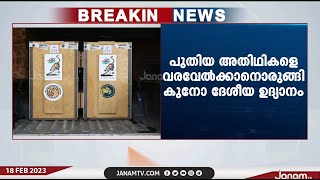 ദക്ഷിണാഫ്രിക്കയിൽ നിന്ന് 12 ചീറ്റകൾ ഇന്നെത്തും | JANAM TV