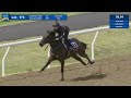 lot 173 2024 magic millions gold coast horses in training sale