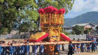 さぬき豊浜ちょうさ祭2024(八幡神社ちょうさ全台集合)1