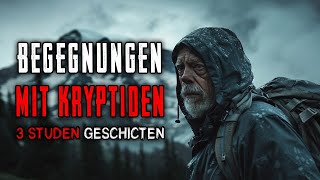 3 Stunden Geschichten über erschreckende Begegnungen mit Kryptiden. Kollektion October 2024 [3]