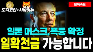 [도지코인+시바이누] 2025년은 도지의 해! 일확천금도 가능하다..!? 일론 머스크, 600% 상승시킬 것!