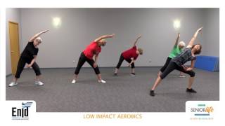 Senior Life Network - Low Impact Aerobics