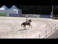 bianca babanitz bba centina cat csi** lake arena 2014