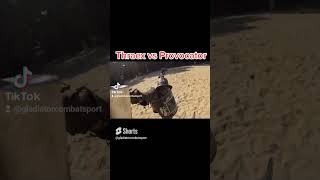 Gladiator Combat -Thraex vs Provocator #gladiator #hema #combat #combatsports #sports