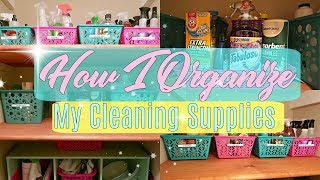 How I Organize & Store My CLEANING PRODUCTS-  DOLLAR TREE ORGANIZATION INSPIRATION