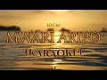 Hlgm - Mwari Aripo (Instrumental + Lyrics)