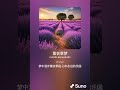 薰衣草梦 1 粤语歌 suno ai作曲