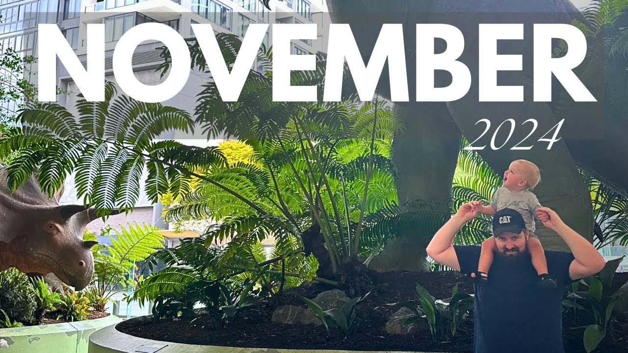 November Diaries Youtube