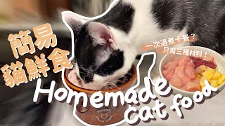 貓鮮食食譜#1 | 一次煮十餐只需三樣材料？簡易貓咪雞肉餐| Homemade cat food recipe (beginner friendly!)