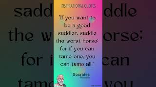 Socrates Quotes on Life & Happiness #40 |  | Motivational Quotes | Life Quotes | Best Quotes #shorts