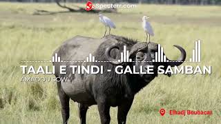 TAALI  E TINNDI - GALLE SAMBAN | AMADOU SOW