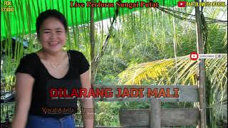 Dilarang Jadi Mali Adelia  Live Perform Sungai Putat  Pdk Studio Viral