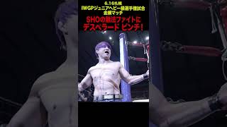 【新日本プロレス】SHOの無法ファイトにデスペラード ピンチ！  #shorts