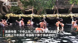 印尼巴厘岛居民在圣泉寺举行净化仪式