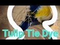 ✨️How I Spiral Tie Dye with @TulipColorCrafts ✨️ #tiedyelife #tulip #tiedyefashion #tiedyedesigns