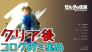 [BotW] クリア後 コログのミ集め10 [ブレスオブザワイルド]