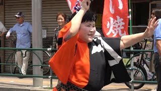 流し踊り「小金宿連」堀切かつしか菖蒲まつり2016